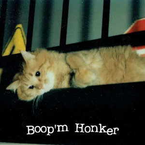 Boop'm Honker