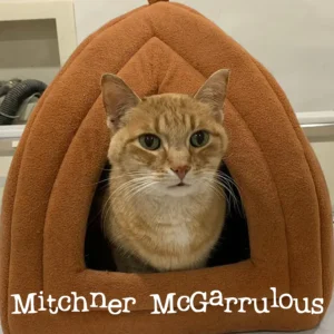 Mitchner in HIs HIdeout